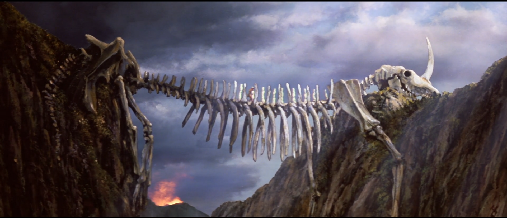 Skeleton bridge